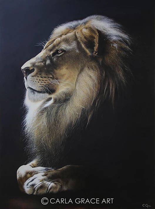 Carla Grace Wildlife painter The Gallerist