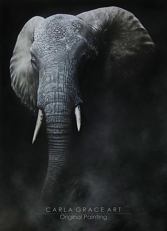 Carla Grace Wildlife painter The Gallerist