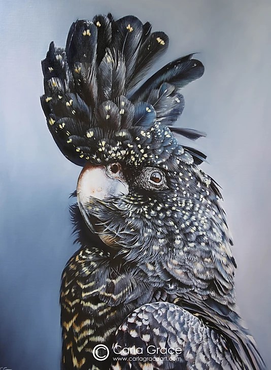 Carla Grace Wildlife painter The Gallerist