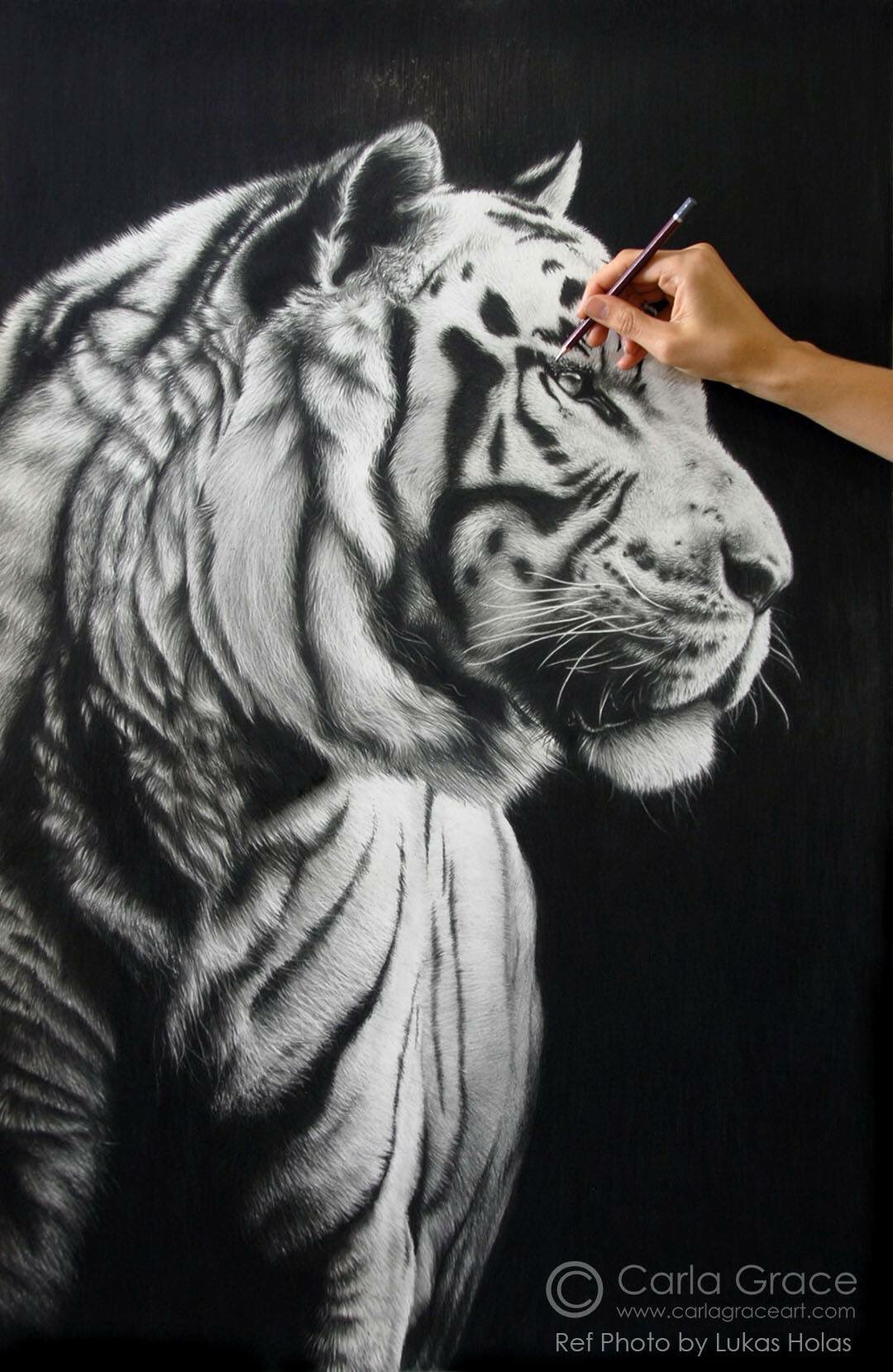 Carla Grace Wildlife painter The Gallerist